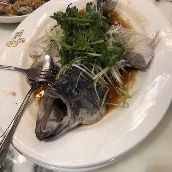 Congee Queen - Chinese Near Me - North York, Ontario