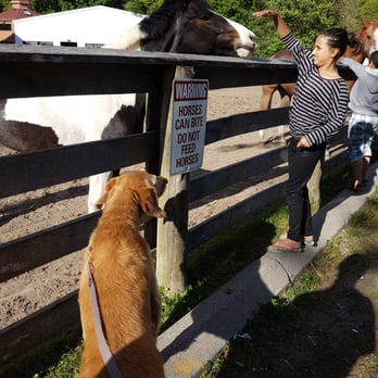 Sunnybrook Park - Dog Parks Near Me - North York, Ontario Sunnybrook Park - Dog Parks Near Me - North York, Ontario