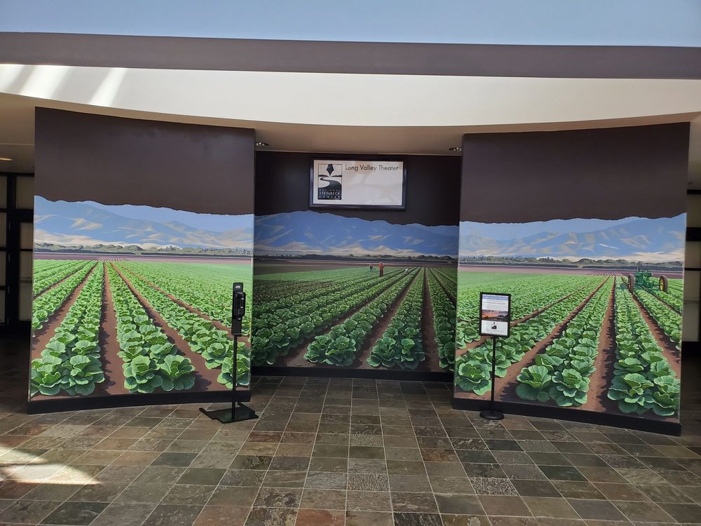 The film theatre between the lettuce beds. Yelp