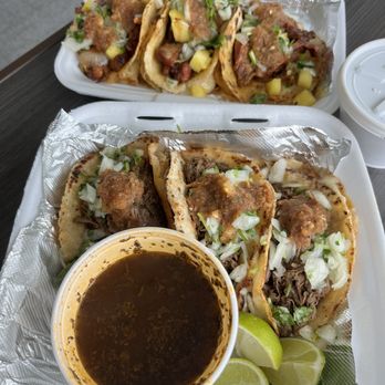 Tampa Taco - Al pastor - Tacos Near Me - Tampa, Florida Tampa Taco - Al pastor - Tacos Near Me - Tampa, Florida