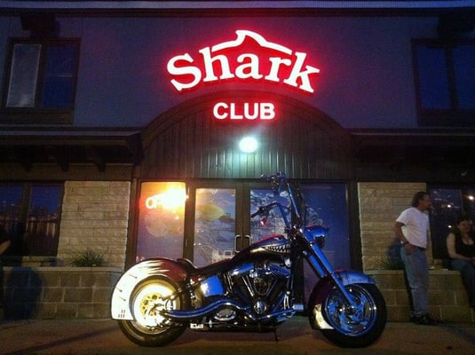 Shark Club by null