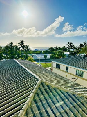 Hotel Ocean South Beach by null