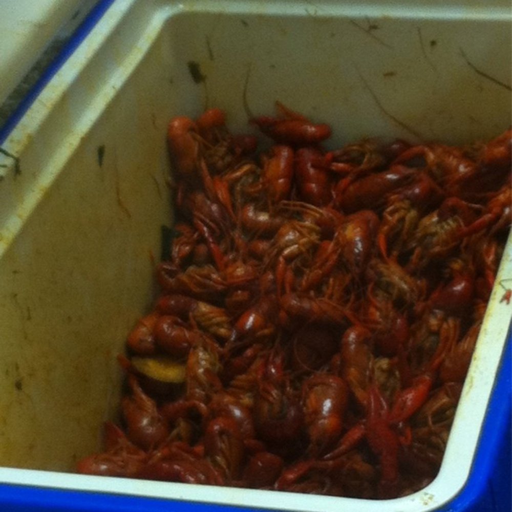 Read Seafood - Hot crawfish - Seafood Near Me - New Orleans, Louisiana Read Seafood - Hot crawfish - Seafood Near Me - New Orleans, Louisiana