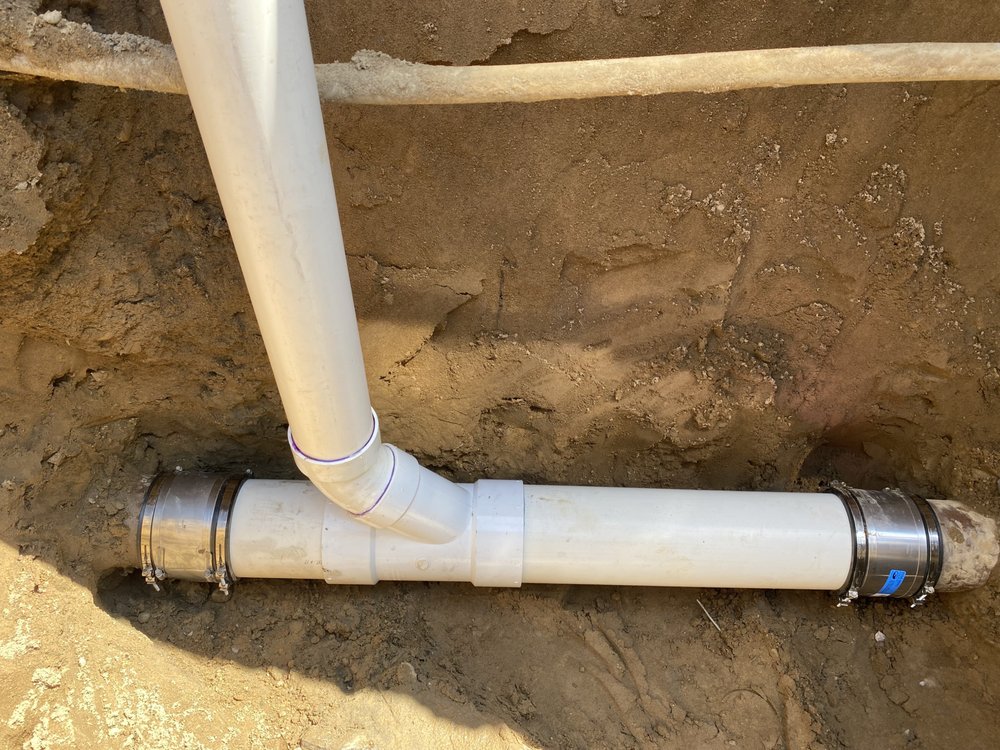 Slide of American Rooter