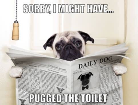 Slide of Mike's Sewer and Drain Service