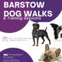 Photo of Barstow Dog Dasher