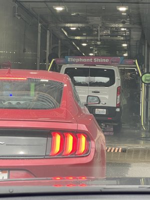 Elephant Car Wash by null