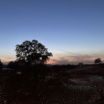 Sensorio - Around 7:30 in April. Waiting for the lights to turn on from the VIP Terrace. - Art Galleries Near Me - Paso Robles, California