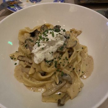 Bottiglia - Wild Mushroom Tagliatelle - Italian Near Me - Henderson, Nevada Bottiglia - Wild Mushroom Tagliatelle - Italian Near Me - Henderson, Nevada