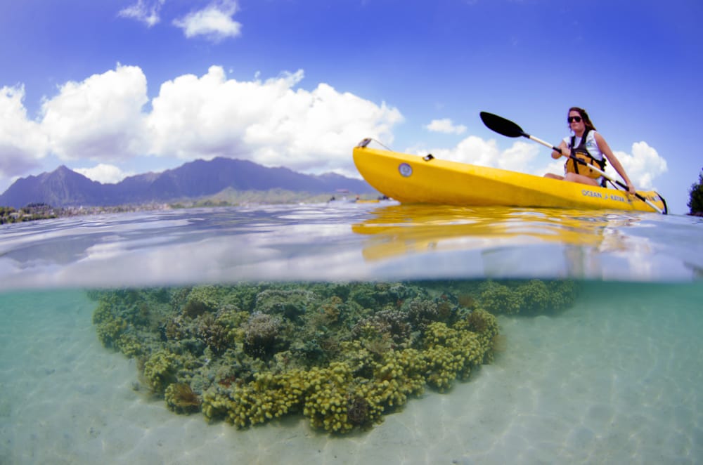KAMA’AINA KAYAK AND SNORKEL ECOVENTURES Updated May 2024 Yelp