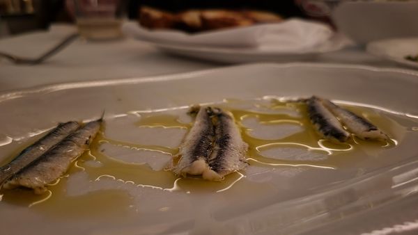 Monarch Restaurant by null