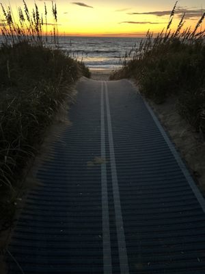 Shutters On the Banks by null