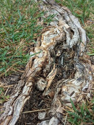 Bethany Lakes Park by null