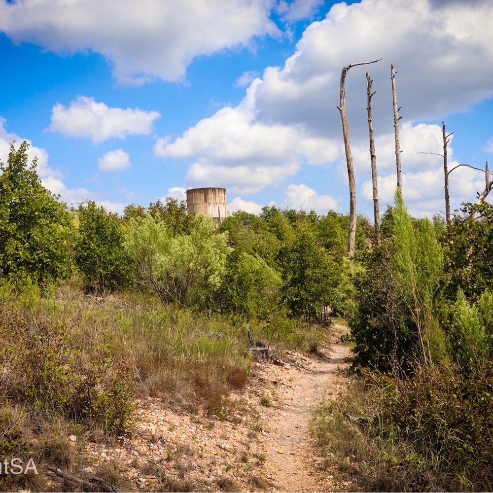 Bastrop State Park - Parks Near Me - Bastrop, Texas