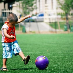 Complete Lawn