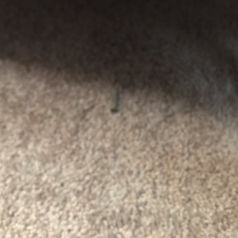 The Move Crew - Movers Near Me - Middletown, Delaware