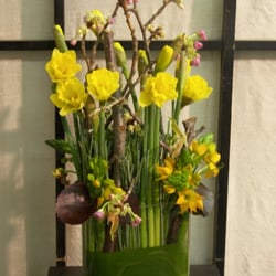 Volanni - Yellow Springtime Arrangement