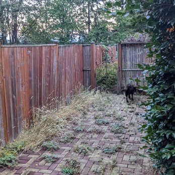 Hergom Landscaping - Before Hergom - Landscaping Near Me - Seattle, Washington Hergom Landscaping - Before Hergom - Landscaping Near Me - Seattle, Washington