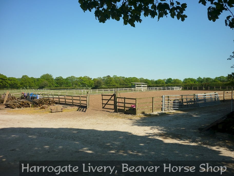 A HARROGATE LIVERY Updated August 2024 47 Photos Windmill Farm