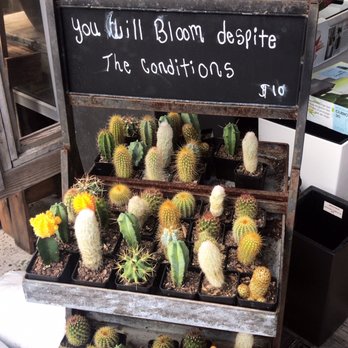 Midtown Garden Center - Nurseries & Gardening Near Me - Miami, Florida Midtown Garden Center - Nurseries & Gardening Near Me - Miami, Florida