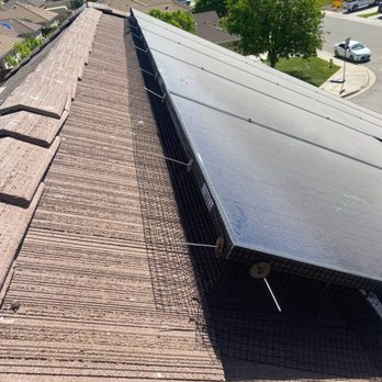 Opal Solar & Gutter Cleaning - Pressure Washers Near Me Opal Solar & Gutter Cleaning - Pressure Washers Near Me