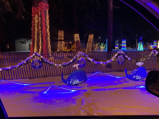 The Lights of Christmas by null