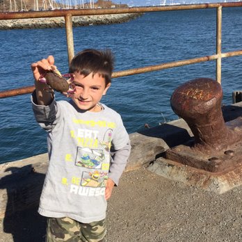 Moore Road Pier - Fleetweek 2016 - Fishing Near Me - Sausalito, California Moore Road Pier - Fleetweek 2016 - Fishing Near Me - Sausalito, California