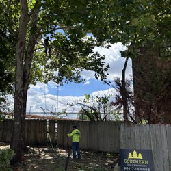 Southern Tree & Renovations