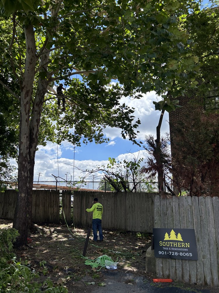Southern Tree & Renovations - tree service in Memphis, TN