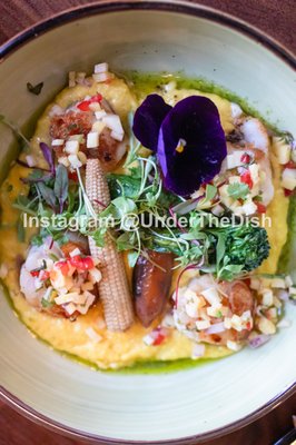 Tortuga y Chango by null