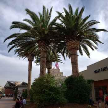 Citadel Outlets - Stately palm trees. - Outlet Stores Near Me - Los Angeles, California Citadel Outlets - Stately palm trees. - Outlet Stores Near Me - Los Angeles, California