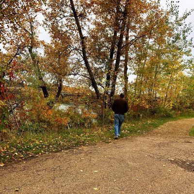 Sir Wilfrid Laurier Park by null