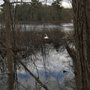 Photo of Morses Pond
