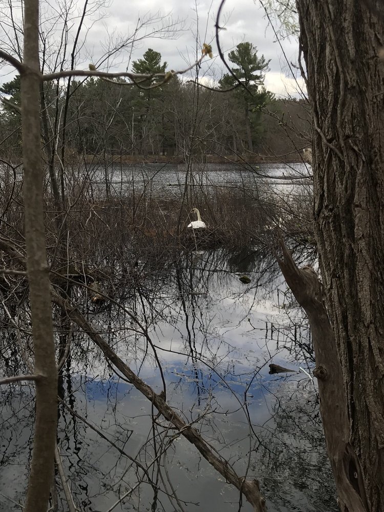 Social spots from Morses Pond