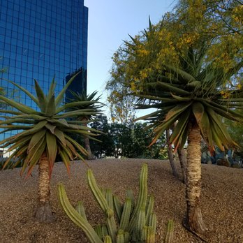 California Scenario - Desert meets the city. - Botanical Gardens Near Me - Costa Mesa, California