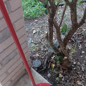 1st Made In Heaven - Office Cleaning Near Me - San Antonio, Texas 1st Made In Heaven - Office Cleaning Near Me - San Antonio, Texas