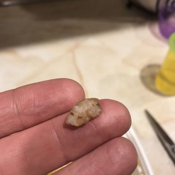 Four Season Kitchen - Not a bone, or anything edible, a ROCK! - Chinese Near Me - West Islip, New York Four Season Kitchen - Not a bone, or anything edible, a ROCK! - Chinese Near Me - West Islip, New York