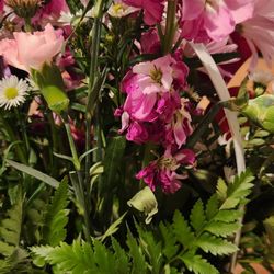 The Flower Patch & Gift Shoppe