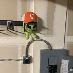 3G Electric - I left a little alien stuffed animal out there while they were working and they left it the cutest ball cap.