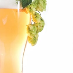 Tap Room Tours