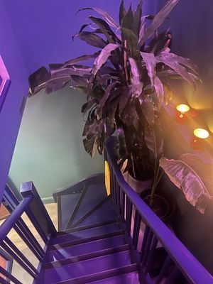 Supawan Thai Food by null