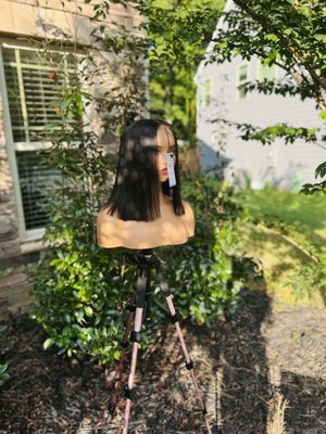 The Wig Hq by null