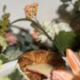 Brunch It