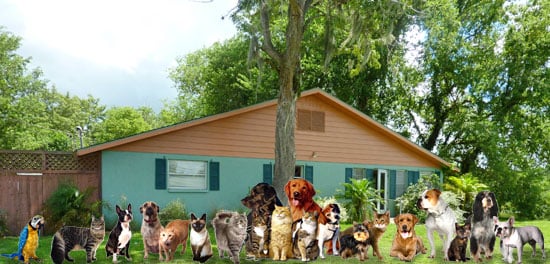 Just4paws Image