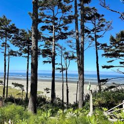Seabrook Cottage Rentals - Seabrook beach
