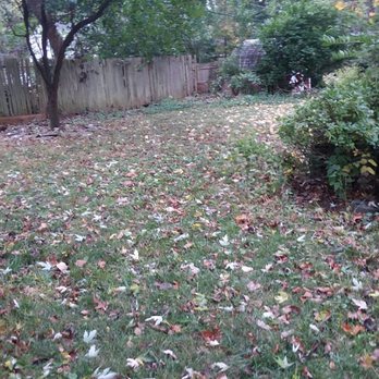 Pelchat Tree Service - When was the last time your leaves were cleaned up? - Landscaping Near Me - Lafayette Hill, Pennsylvania Pelchat Tree Service - When was the last time your leaves were cleaned up? - Landscaping Near Me - Lafayette Hill, Pennsylvania
