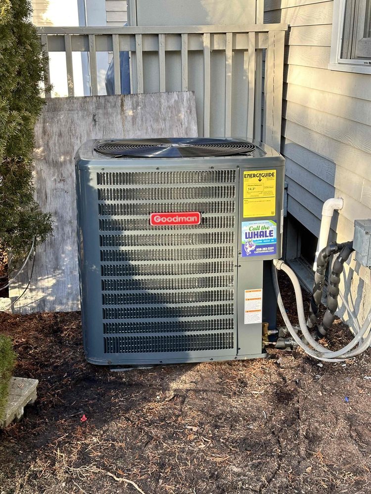 Slide of Call The Whale