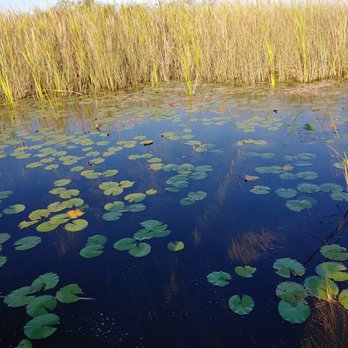 Everglades Nature Tours - Fishing Near Me - Parkland, Florida