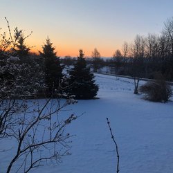 North Fork Bed & Breakfast Gifts - Early spring morning
