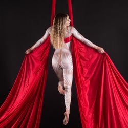 Fire Lily Entertainment - Our owner and stunning aerialist, Jocelyn. Performing on Aerial Silks.